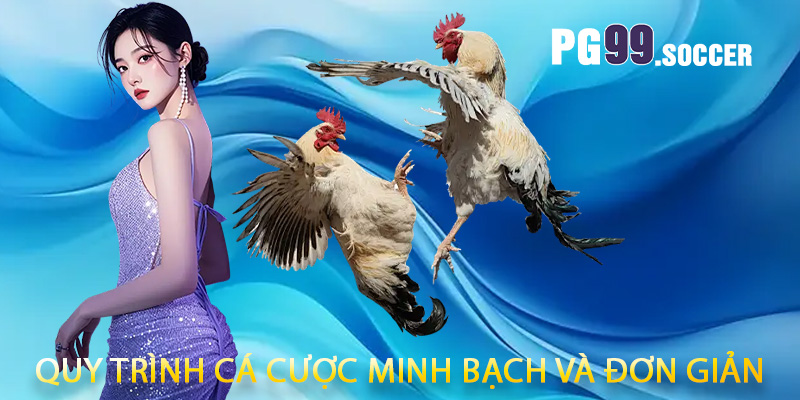 Quy trình cá cược minh bạch và đơn giản