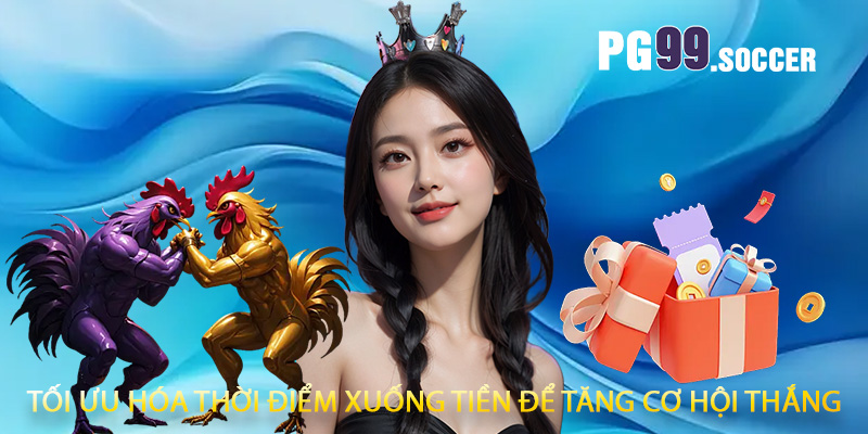 Tối ưu hóa thời điểm xuống tiền để tăng cơ hội thắng